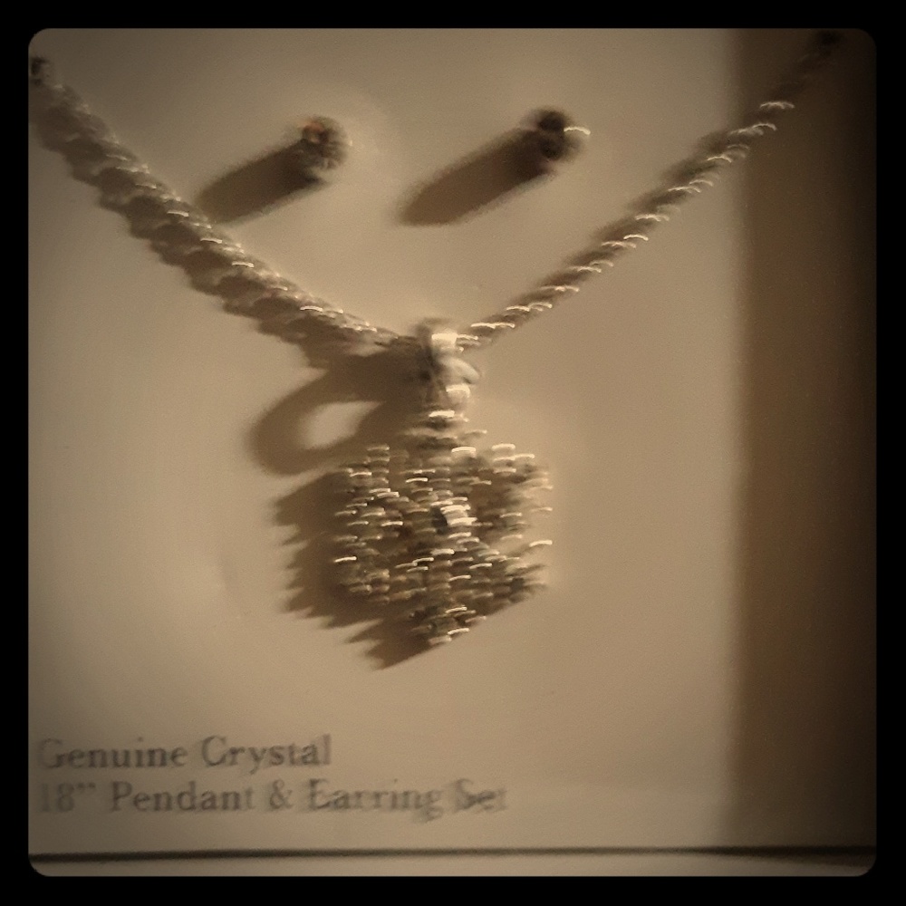 Snow flake necklace and earrings